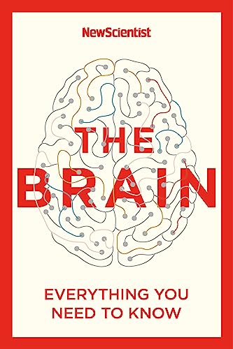 The Brain