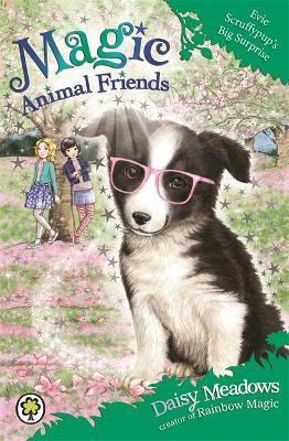 Magic Animal Friends: Evie Scruffypup'S Big Surprise : Book 10