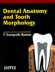 Dental Anatomy and Tooth Morphology 1/e