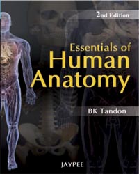 Essentials of Human Anatomy2/e