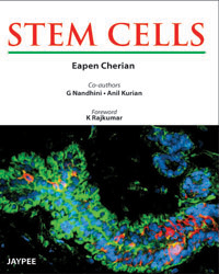Stem Cells|1/e