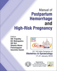 Manual of Postpartum Hemorrhage and High-Risk Pregnancy|1/e
