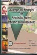 Challenges and Strategies for Sustainable Energy Efficiency and Environment